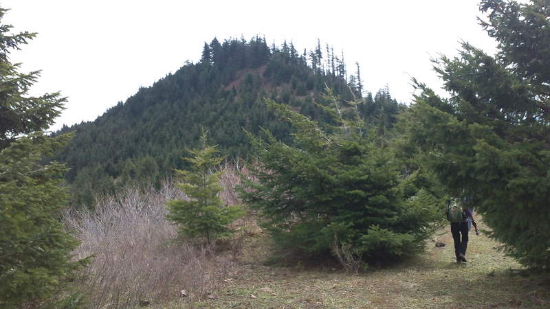 Cook Hill Summit