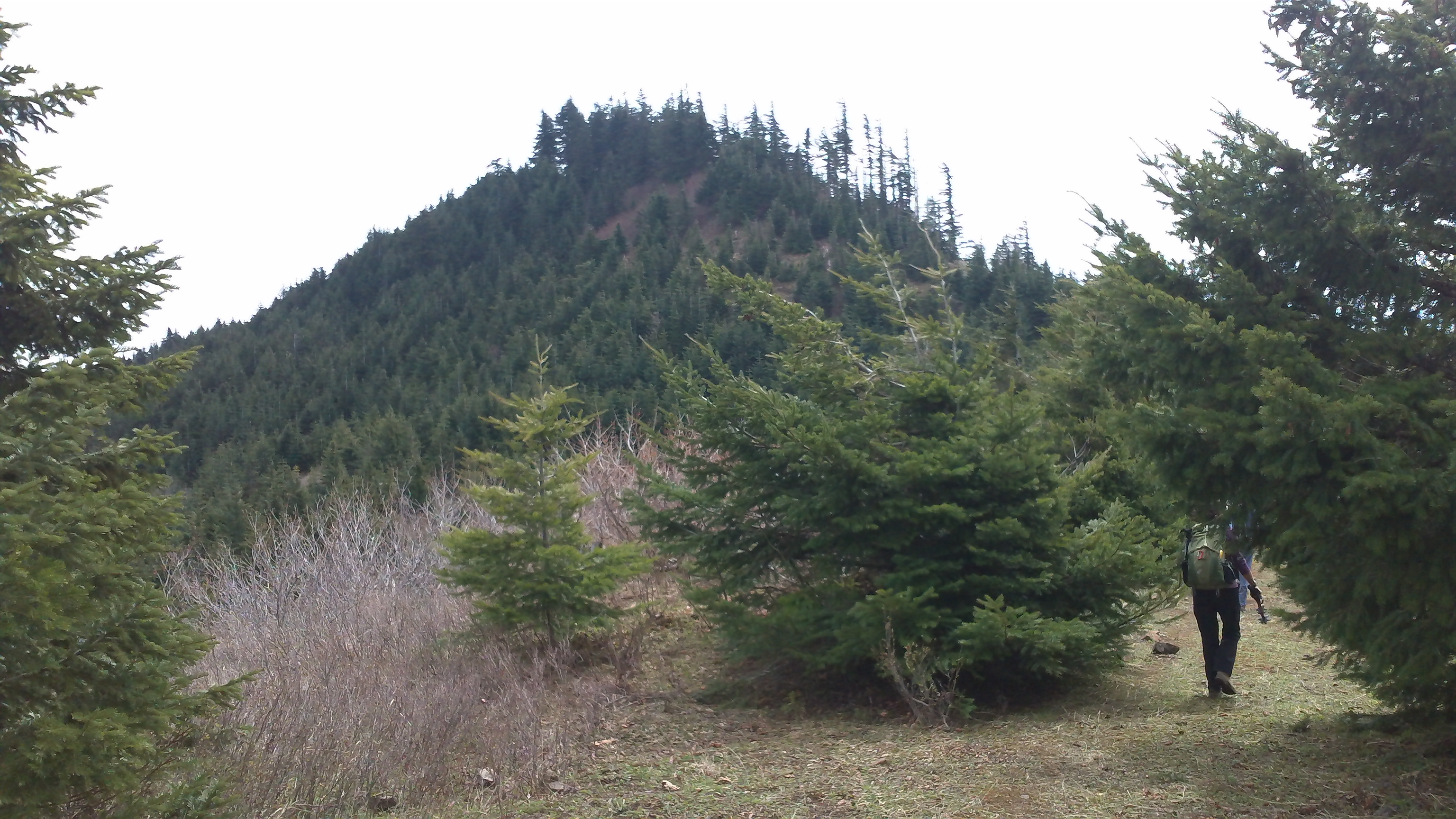 Cook Hill Summit