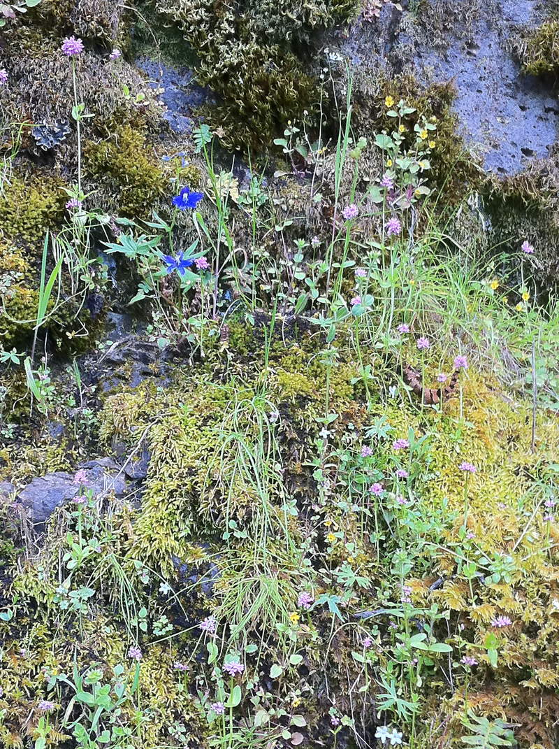 Colorful rocky wall at Oneonta