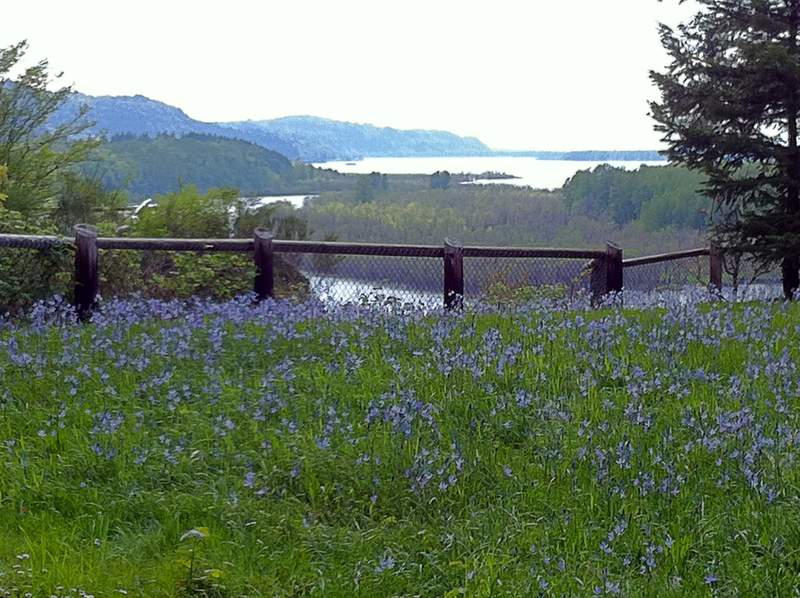 Camas Galore