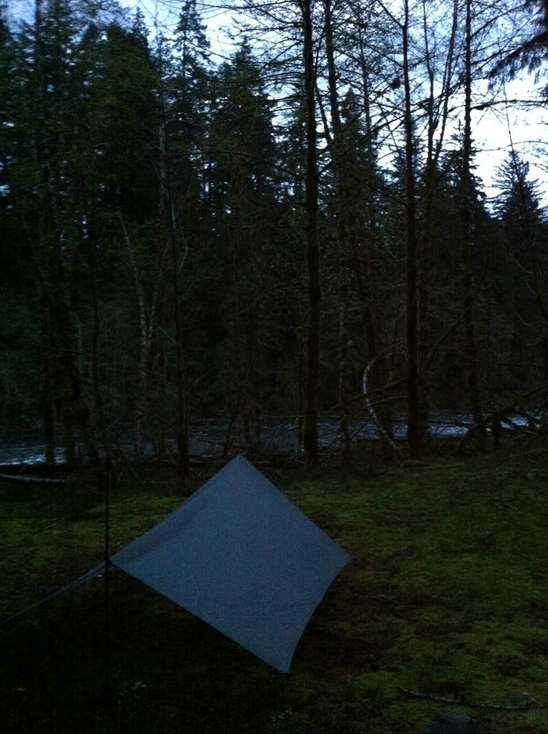 The spinntwin next to the Quinault River.