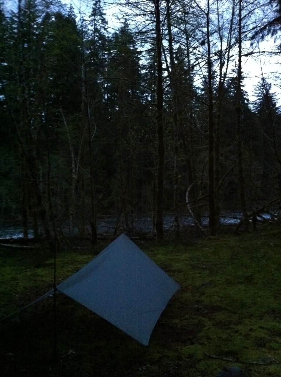 The spinntwin next to the Quinault River.