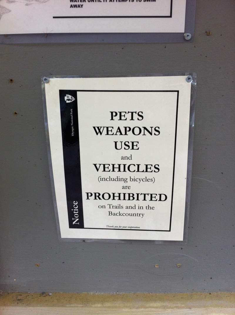 But my dog always brings his shotgun and Powerwheels...