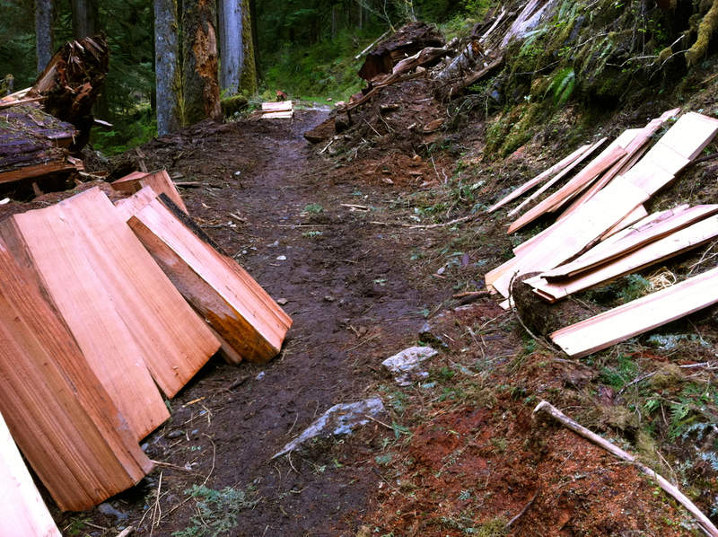 Here's the ex-blowdown the FS made.  It smelled like Home Depot.  Thought about scalping it for cabinets.