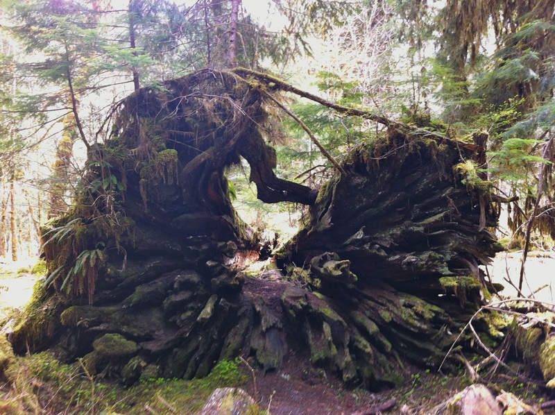 Probably 20ft wide?