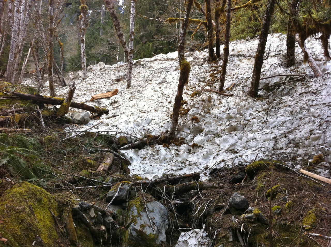 Avalanche!
