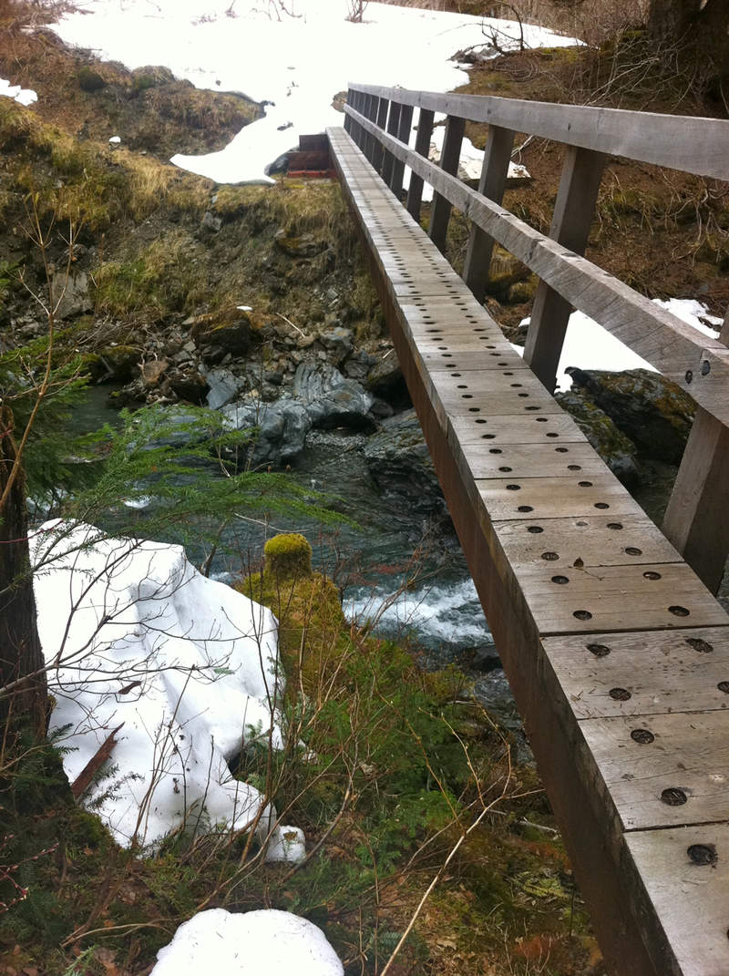The bridge to Enchanted Valley - kind of freaky as the drop is about 25 feet here.