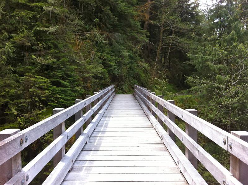 The bridge back to the trailhead.