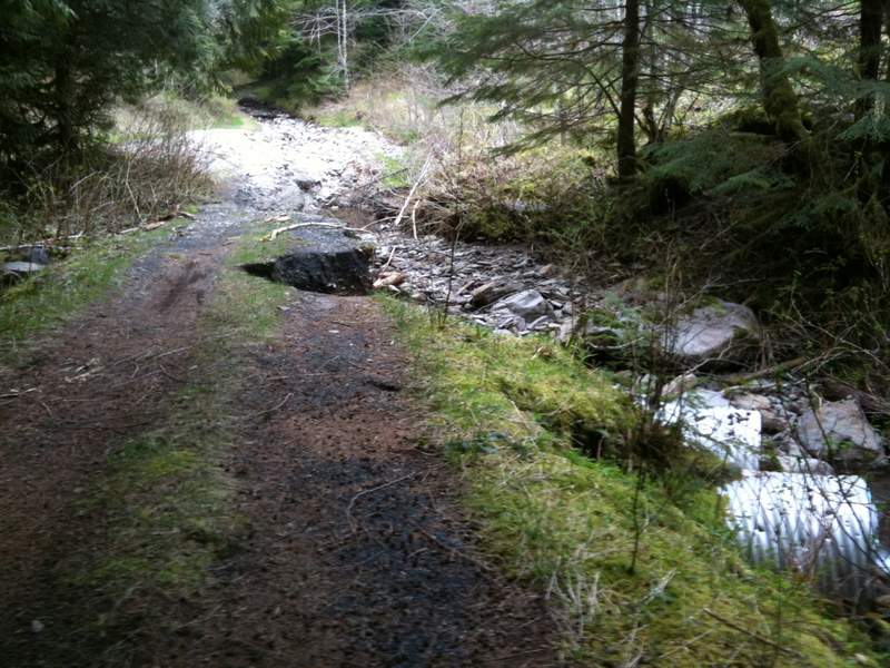washout on upper Palmer Mill Rd