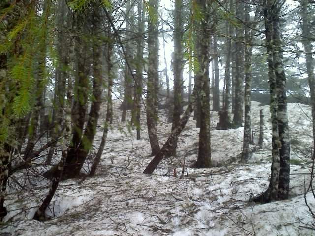 Looking up to Kings summit box area from traverse