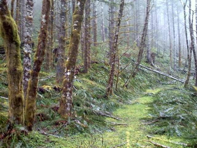 This has to be the correct way to get to the scree field and hit Wilson River correctly