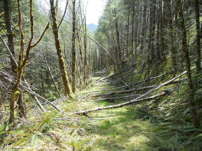 blowdown ,not sure which way I was pointing