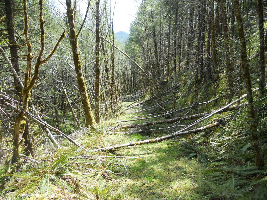 blowdown ,not sure which way I was pointing