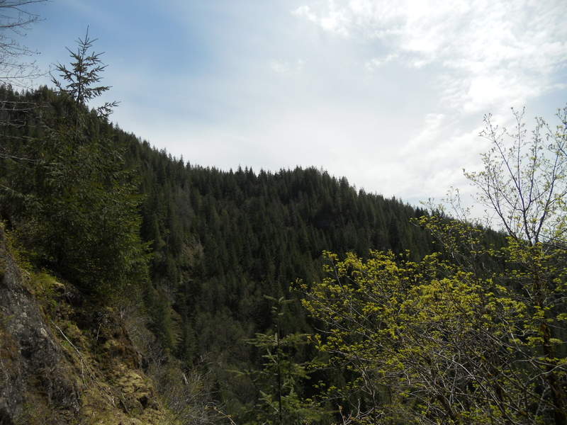 view of Kings MT ridge that holds the Kings trail, Kings JR might be in this as well