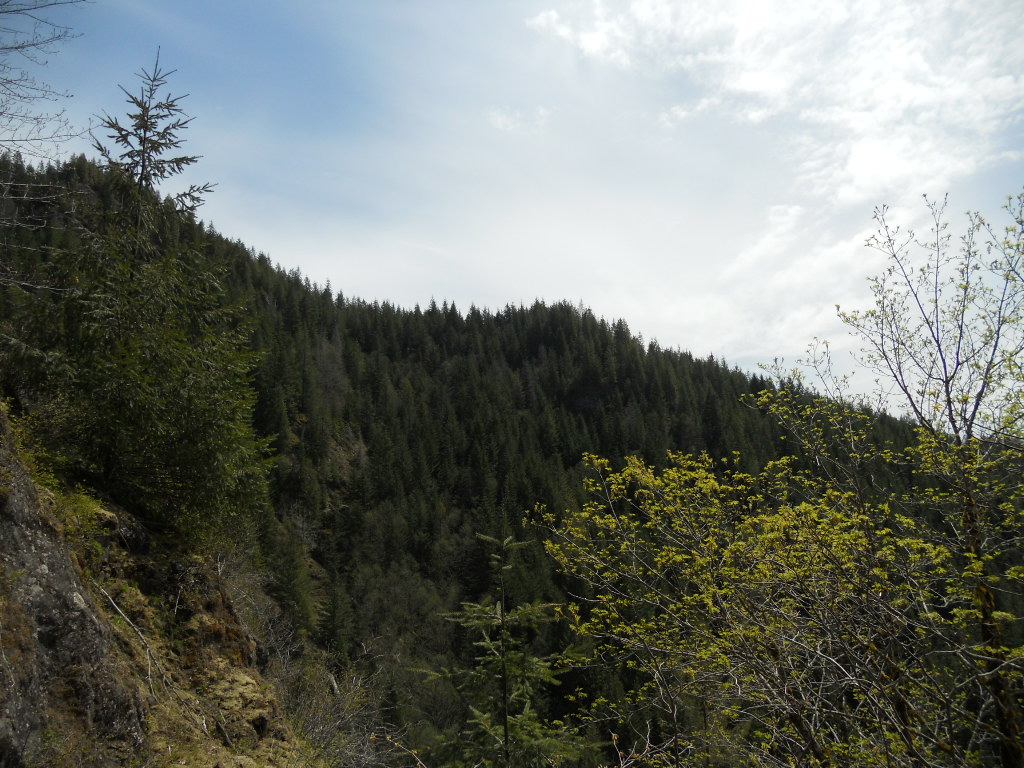 view of Kings MT ridge that holds the Kings trail, Kings JR might be in this as well