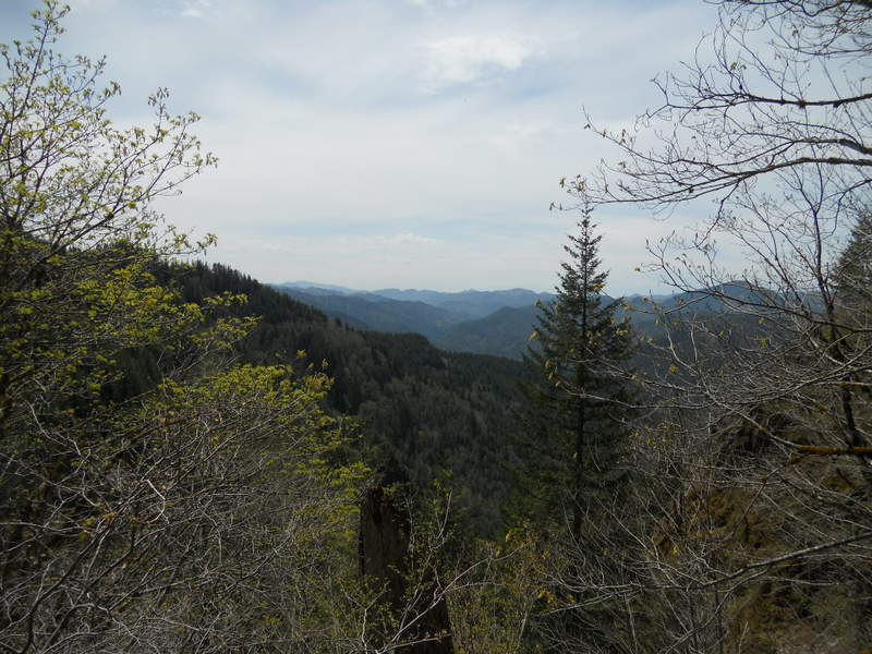 viewpoint along West Ridge Kings off trail scrmble