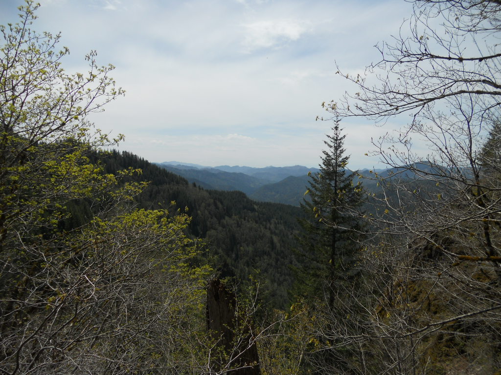 viewpoint along West Ridge Kings off trail scrmble