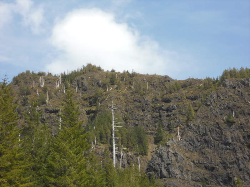 Another view of Kings MT from West Ridge