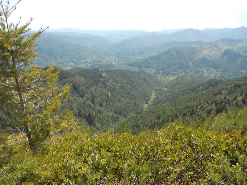 Yet another killer viewpoint