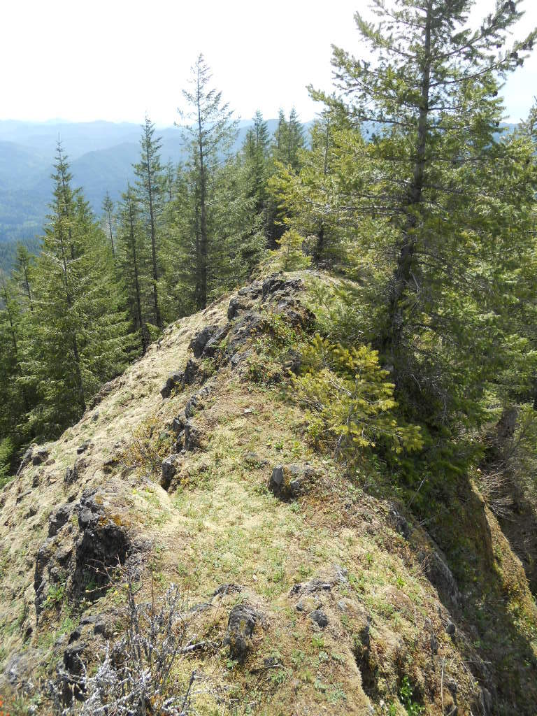 Got up to a point where it finally relented and went down to small ridges in places, you can see from Kings summit this thin ridge