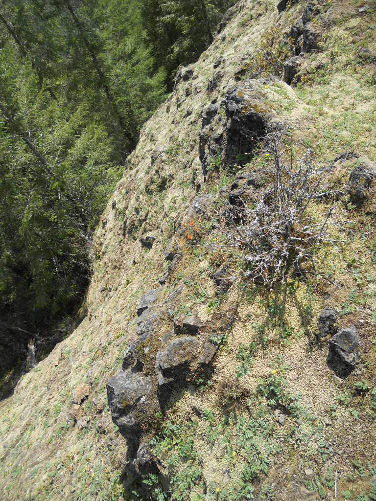 thin ridge drops off on left
