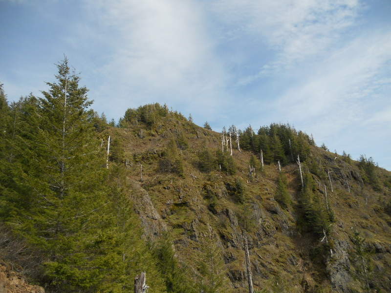getting closer to Kings Mt summit area