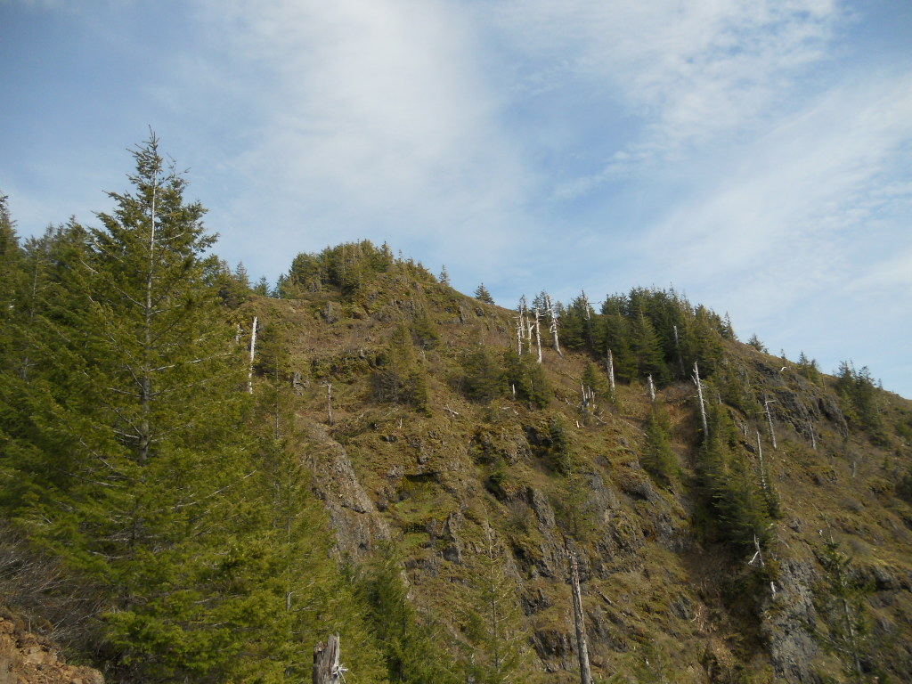 getting closer to Kings Mt summit area