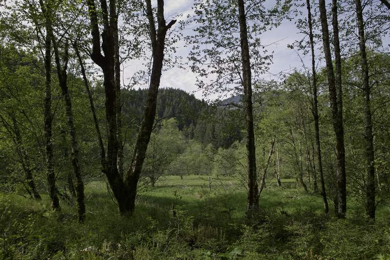 Idyllic, no?