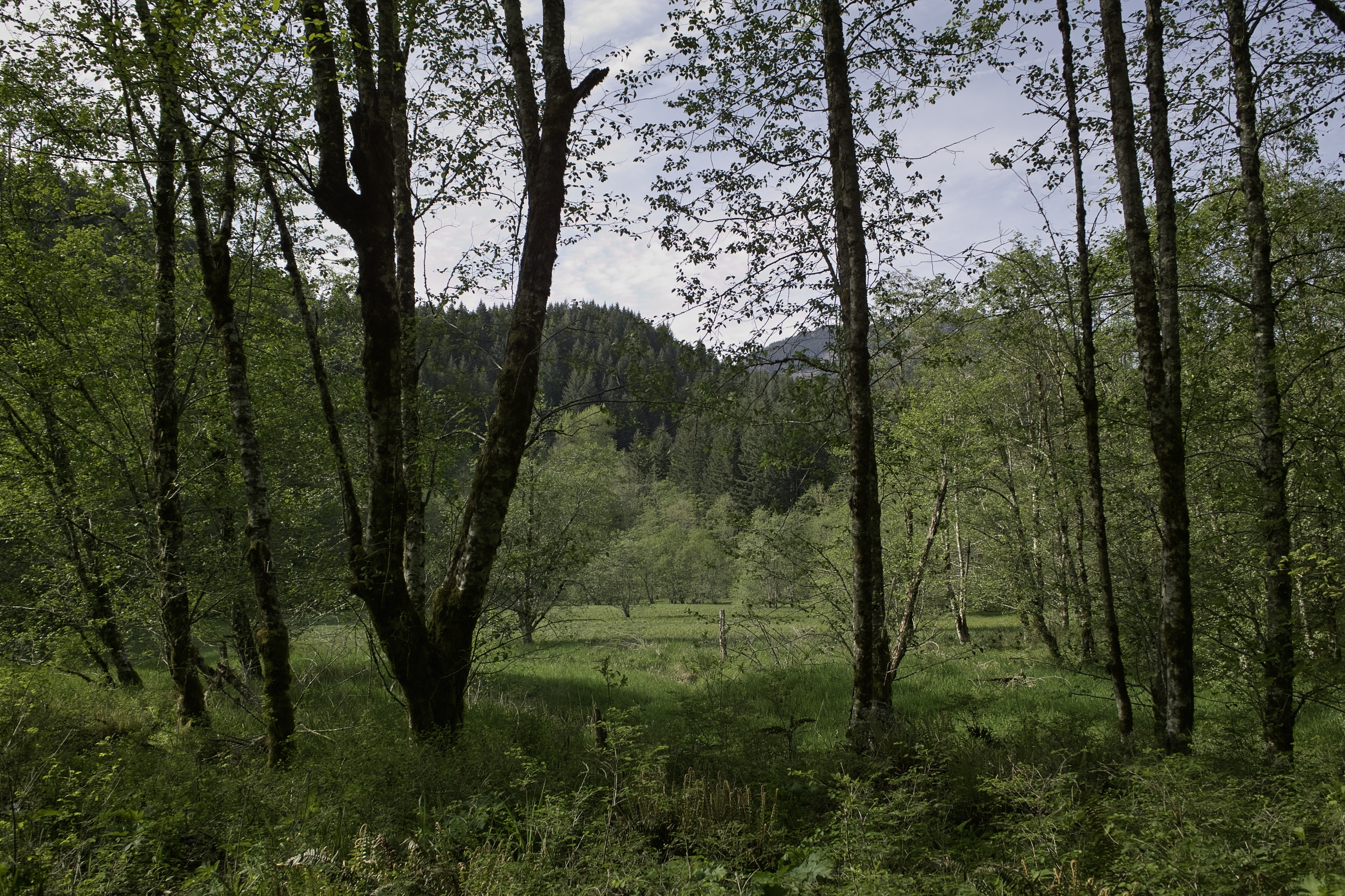 Idyllic, no?