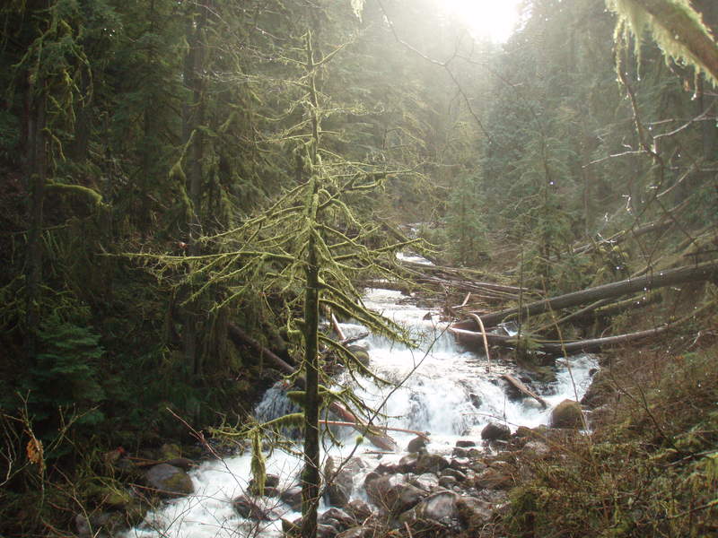 Multnomah Creek